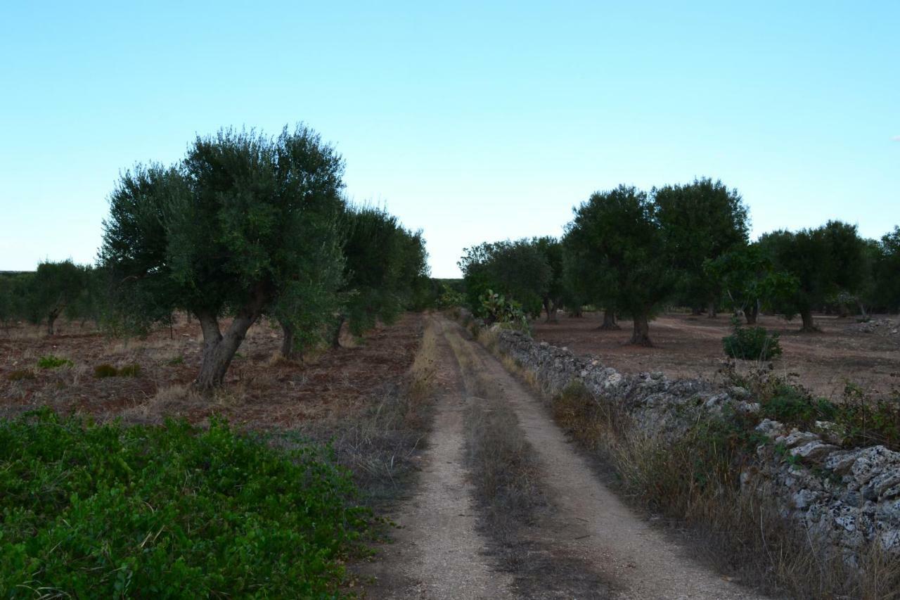 Le Terrazze B&B Manduria Εξωτερικό φωτογραφία